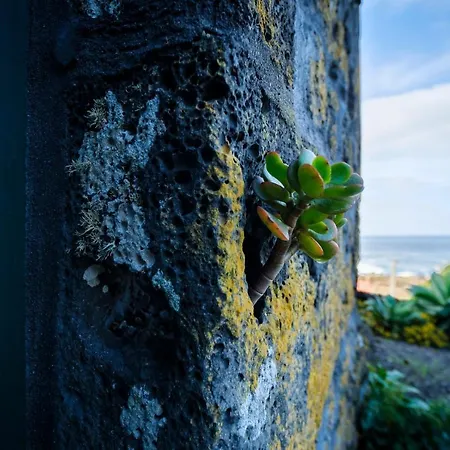 Stone Casa Do Caisinho Pico Island Holiday home