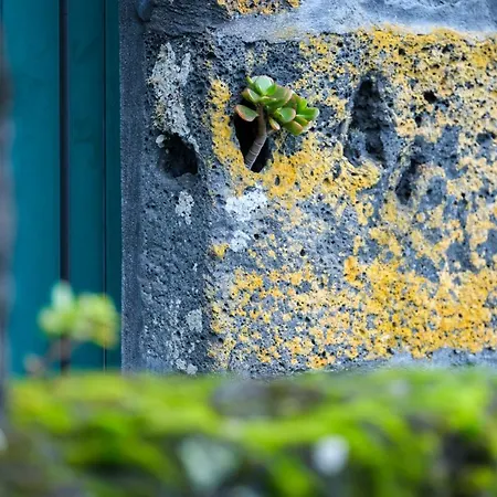 Stone Casa Do Caisinho Pico Island Holiday home