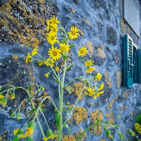Stone Casa Do Caisinho Pico Island Holiday home Terra Alta