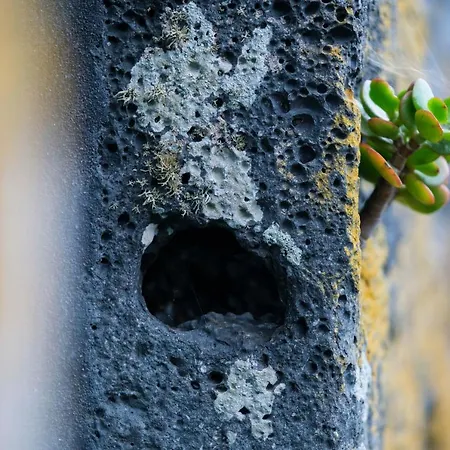 Stone Casa Do Caisinho Pico Island